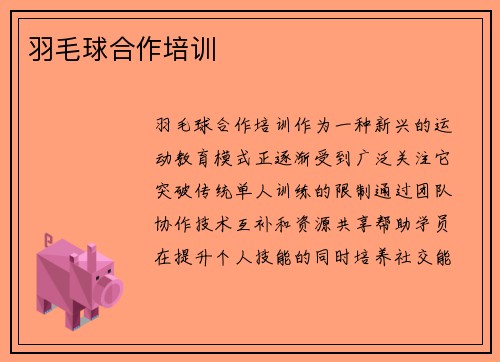 羽毛球合作培训